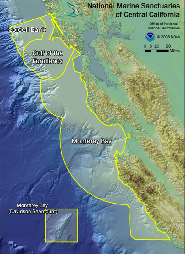 California Marine Sanctuary